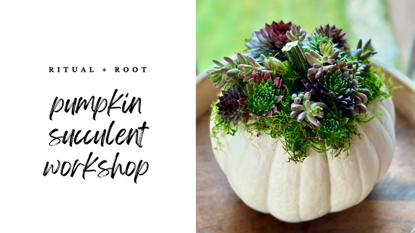 Pumpkin Succulent + Sip Workshop