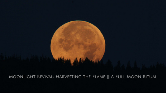 Moonlight Revival: Harvesting the Flame || A Full Moon Ritual