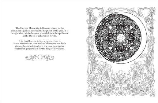 Believe in Magic Coloring Book